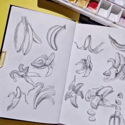 Wild Wilbur Designs Overview